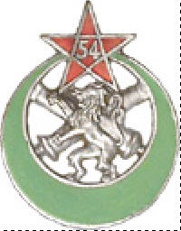 insignes du 54° Régiment d'Artillerie Nord Africain 054ran13