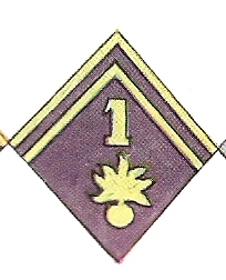 Les insignes de col en 1940 Numar133