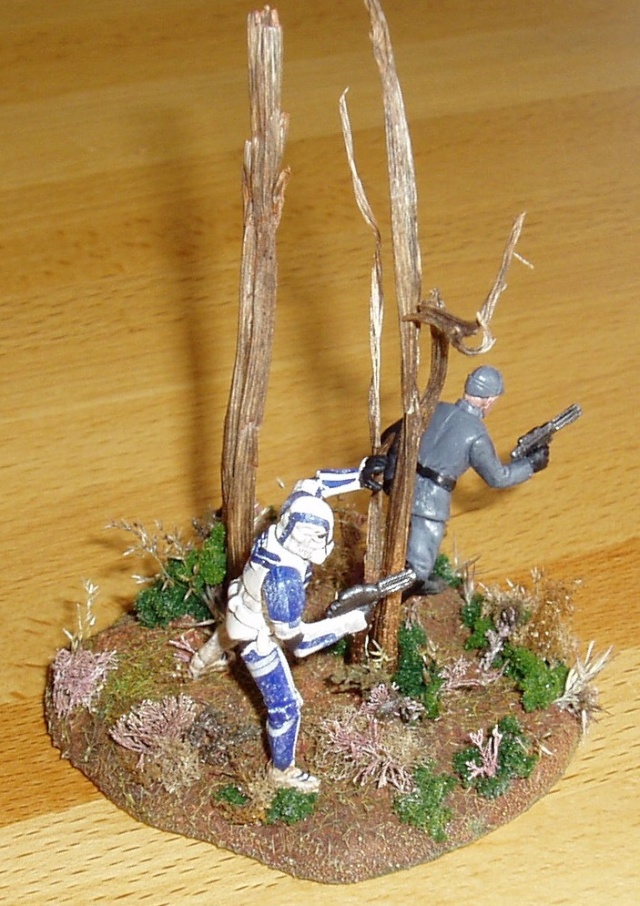 Scénettes Star Wars Miniatures P2260010