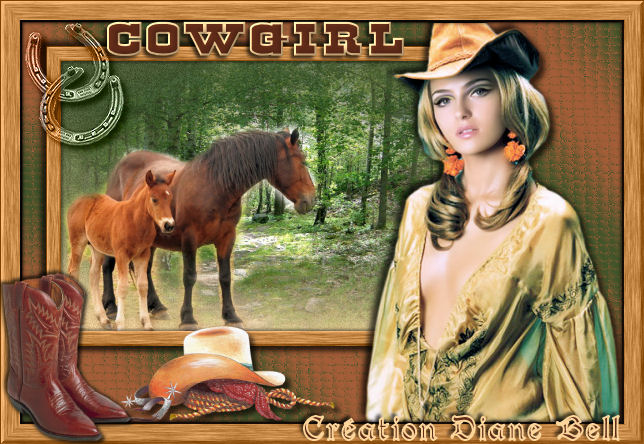 Cowgirl tag. Cowgir10