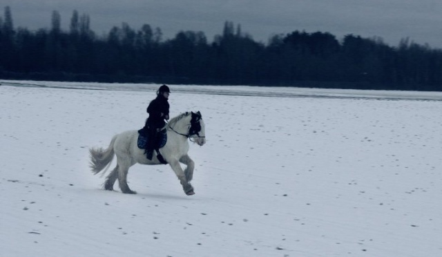 Vidéo P.6 : bienvenue dans le monde de Narnia <3 - Page 2 15479912