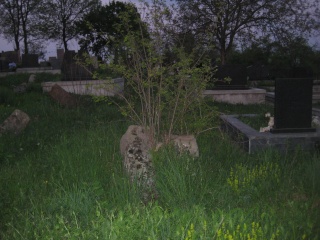 Pre, u toku posle uredjenja groblja u Mojsinju Img_2410