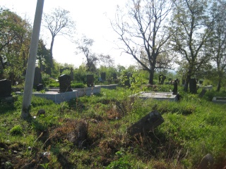 Pre, u toku posle uredjenja groblja u Mojsinju Img_2415