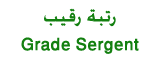 النتائج النهائية لمسابقات التوظيف في الحماية المدنية : G-serg10