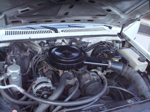 Vends Chevy Blazer S-10 1989 4X2 - V6 2.8 Injection - Boîte Dsc07511
