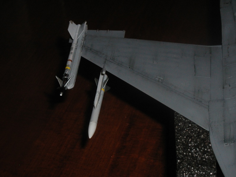 F16C Fighting Falcon [TAMIYA] 1/48 - Page 5 P1010159