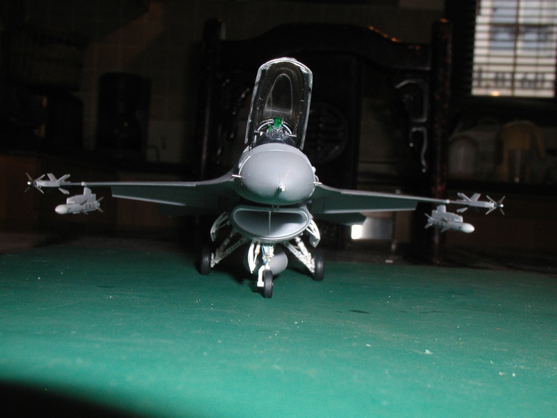 F-16 TAMIYA au 1:48 P1010184