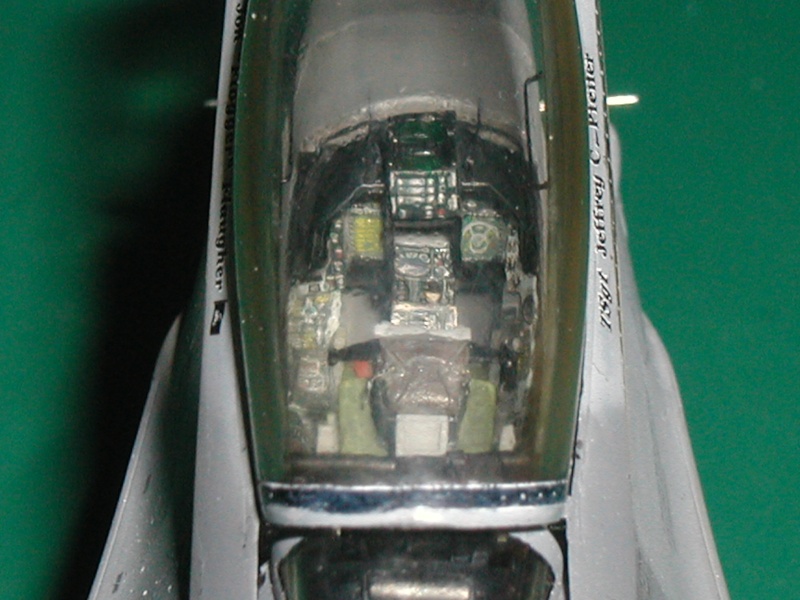 F-16 TAMIYA au 1:48 P1010193