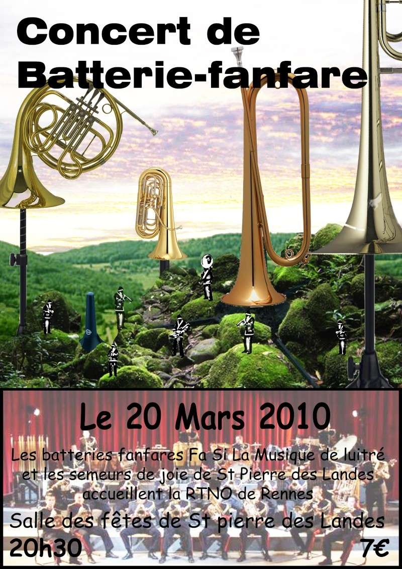 Concert RTNO et BF de Saint Pierre des Landes 20 Mars 2010 Afficg10