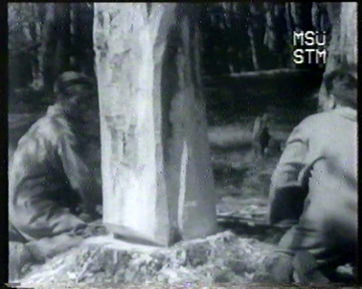 Ömer Lütfi AKAD’ın 1964 yılında Ormancılık konulu belgesel çektiğini biliyor musunuz ? [25.08.2010 00:00] 1710