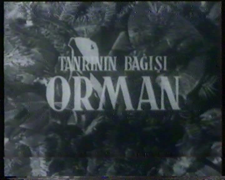 Ömer Lütfi AKAD’ın 1964 yılında Ormancılık konulu belgesel çektiğini biliyor musunuz ? [25.08.2010 00:00] 810