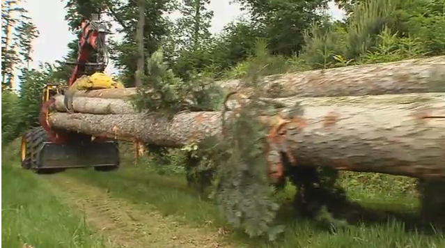 Ormancılıkta Dünya Teknolojisi Forest Machines Untitl10