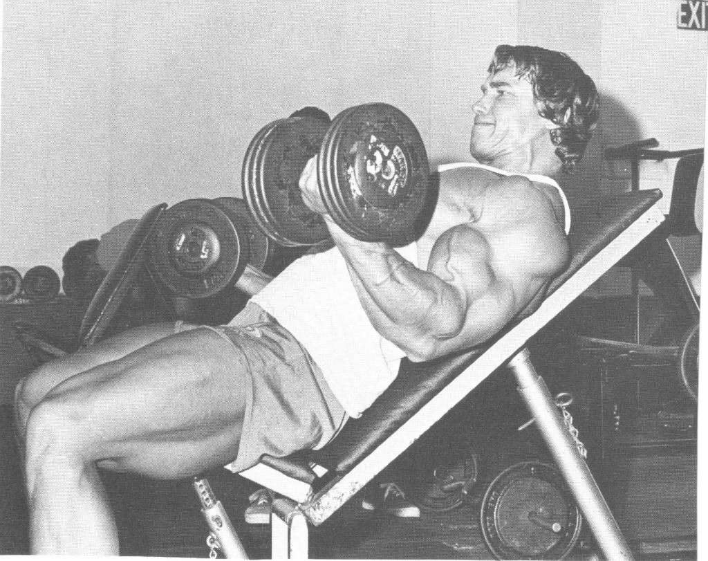 Arnold Schwarzenegger en photos - Page 10 52078011