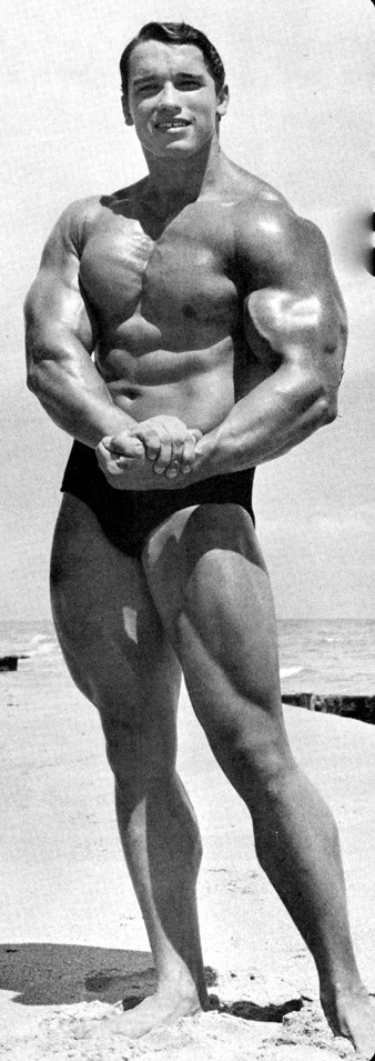 Arnold Schwarzenegger en photos - Page 6 Austri10