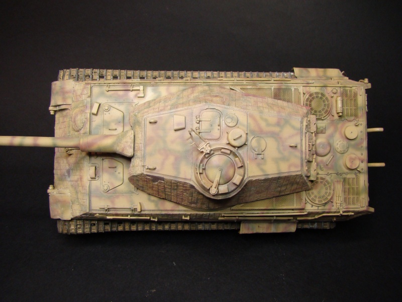 Tigre B porsche (dragon 1/35) - Page 12 Dsc01124