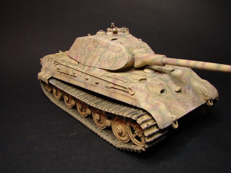 Tigre B porsche (dragon 1/35) - Page 12 Dsc01126