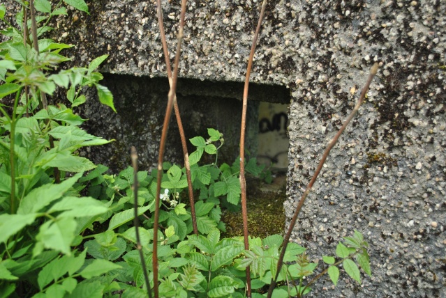 Maginot: blockhaus pour 25mm AC Fermon15