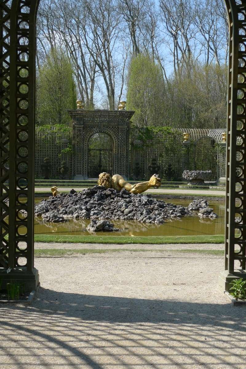 Vos photos du château de Versailles - Page 16 P1030724