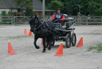 cours d'attelage/menles 2 Menles13