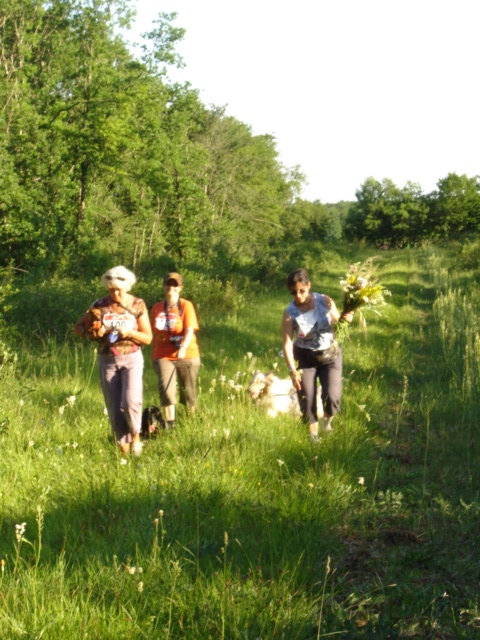 CANICROSS ET CANIMARCHE DANS LE CENTRE Dsc00936