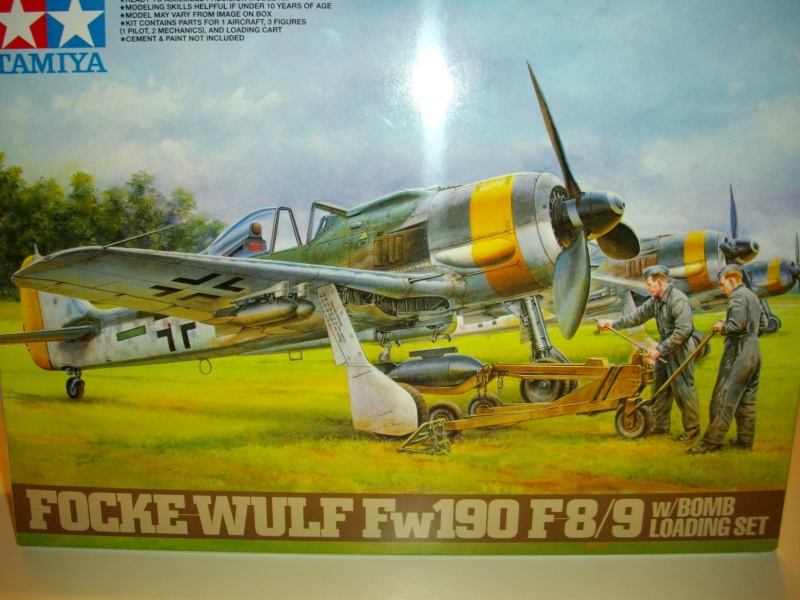 [Tamiya] 1/48 - Focke-Wulf Fw 190 F-8   (fw190) Imgp0526