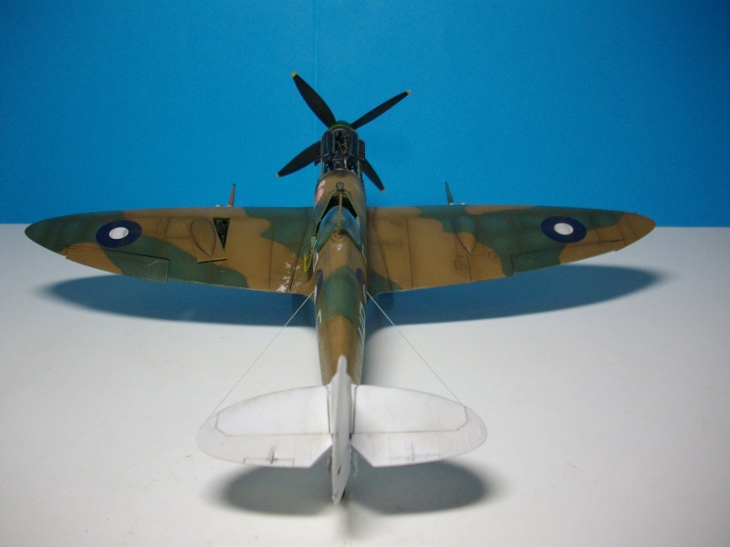 Spitfire MK VIII RAAF 1/48 (ICM) Imgp1717