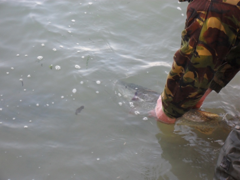 session brochet avec le frangin. Sdc10114