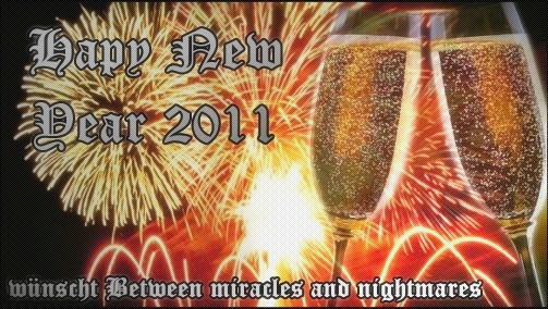 Happy New Year 2011 Vvvvvv10