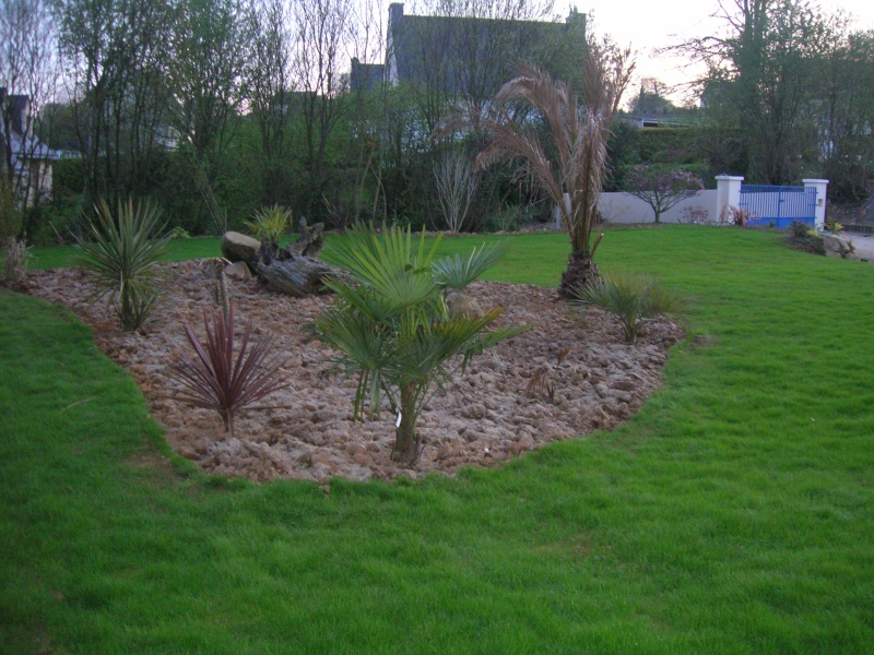 Quelques nouvelles du futur jardin - Page 3 Dscn1542