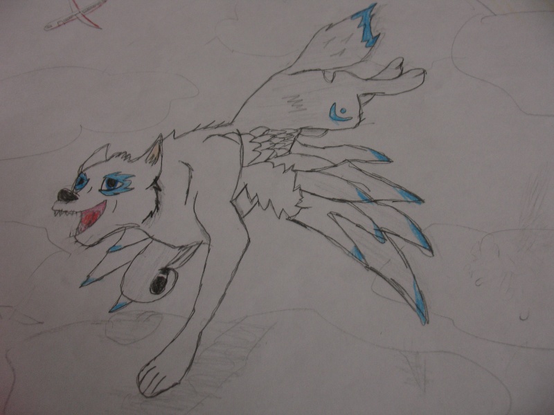 My wolf art Flying11