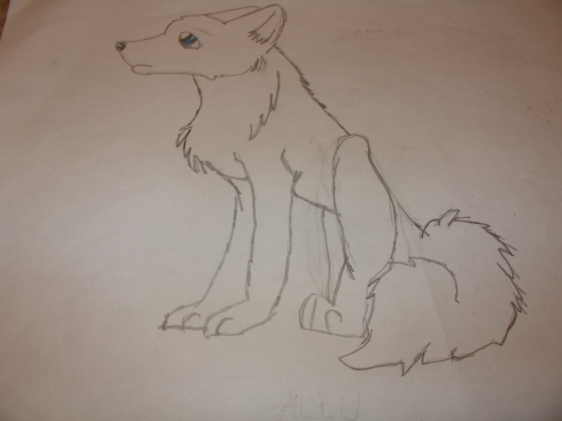 My wolf art Lilte_10