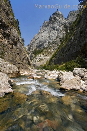 Nacionalni park "Sutjeska" Nation10
