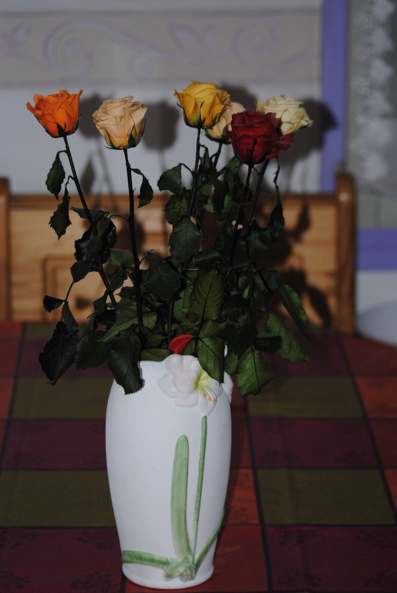 Un bouquet de roses  Dsc_0126