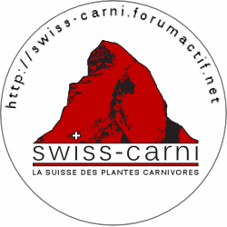 Bourse aux plantes Carnivores Apercu10