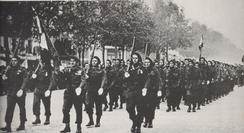 Parachutistes Français Libres du Spécial Air Service (S.A.S.) Numari40