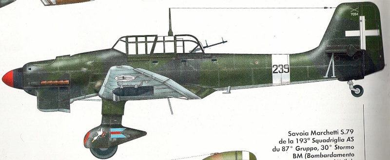 Votre bombardier en piqué préféré. 00127