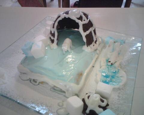 Banquise Igloos Pingouins Et Grand Nord Page 4