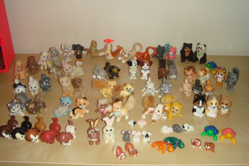 Little-Puppy's Collection! - Page 3 Dsc02117