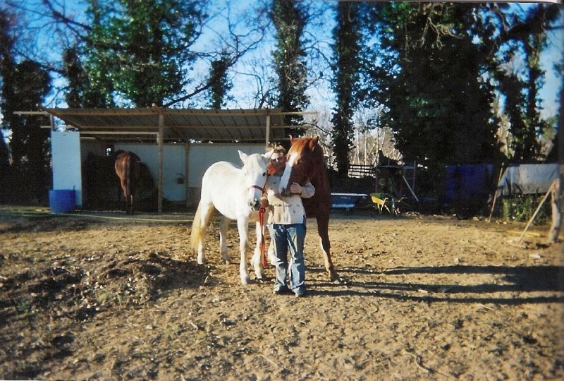 Ponette grise, réservée par caliméro !!! - Page 3 5princ10