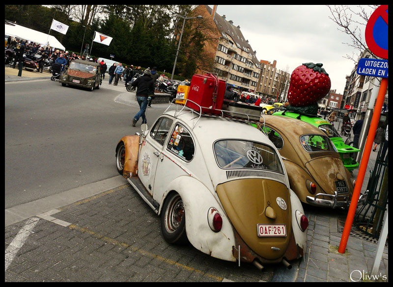 Ninove 2010 Ninove33