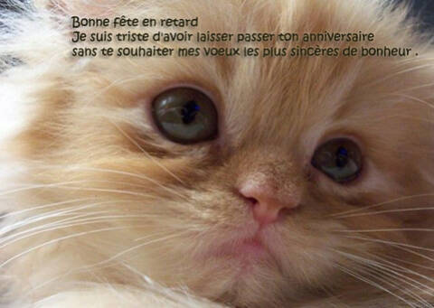 Joyeux Anniversaire A Notre Tite Mouette Page 1 Joyeux Anniversaire A Notre Tite Mouette Page 1