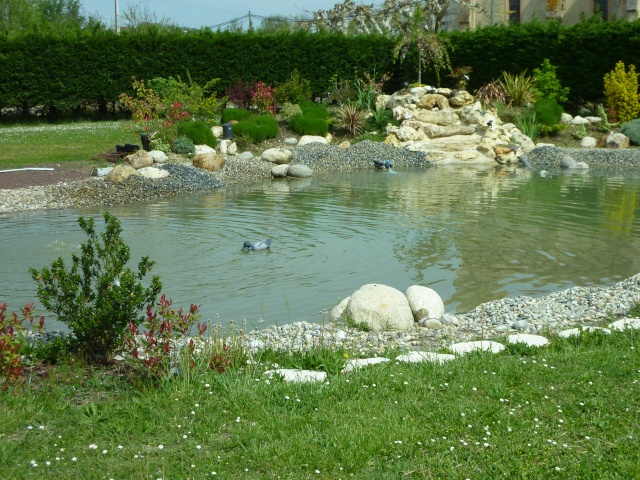 bassin de Nicky à Moissac Bassin18