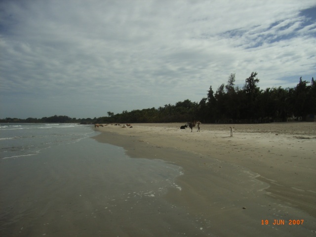 Sénégal , Casamance, plage de Cap Skirring Juin 2007 Dernie12