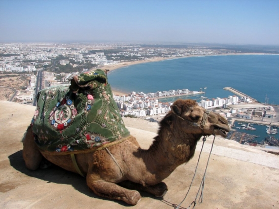 Maroc Agadir vacances Panora10