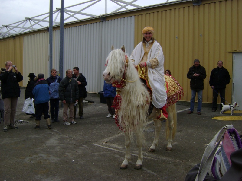 Cheval Passion Dsc00212