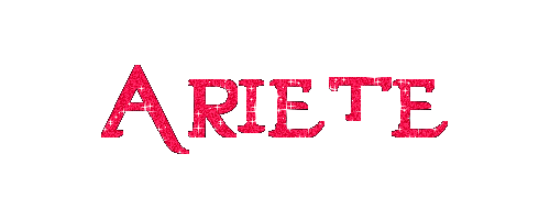 ARIETE Ariete10