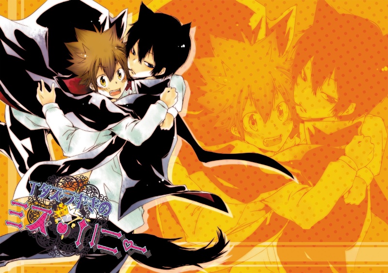 [Galeria +16 YAOI] Katekyo Hitman Reborn! 16657410