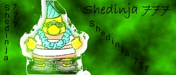 Shedinja 777's snowball shop Shedin11