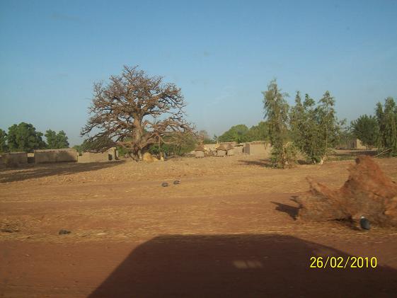 Photos d'Afrique 100_0412