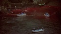 le massacre des dauphins de Taiji Vlcsna11